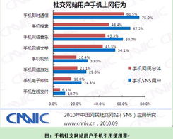 中國互聯網絡信息中心與互聯網信息服務的監管與發展